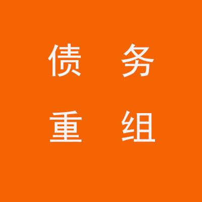 龙沙个人债务重组优化